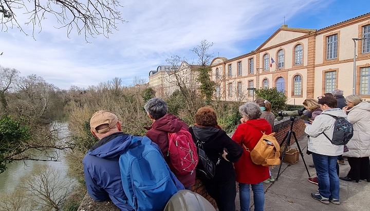 Rencontre des adhérent·es LPO du Tarn-et-Garonne et observation des oiseaux